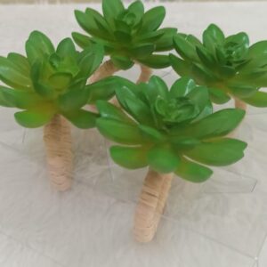 Porta guardanapo - suculenta